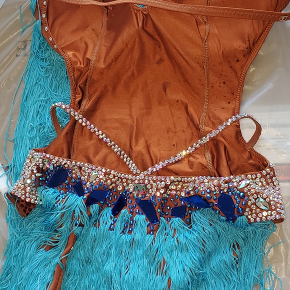 Latin Competition Dress - Picture 6 of 7